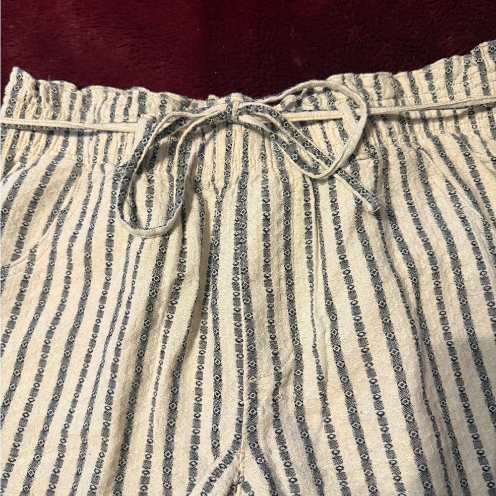 American Eagle Outfitters Textured Striped shorts